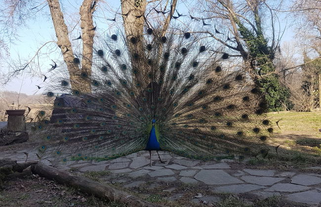 Agriturismo Piccola Raieda - Photo 50