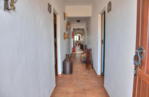 Monte Dos Avós - Photo 12