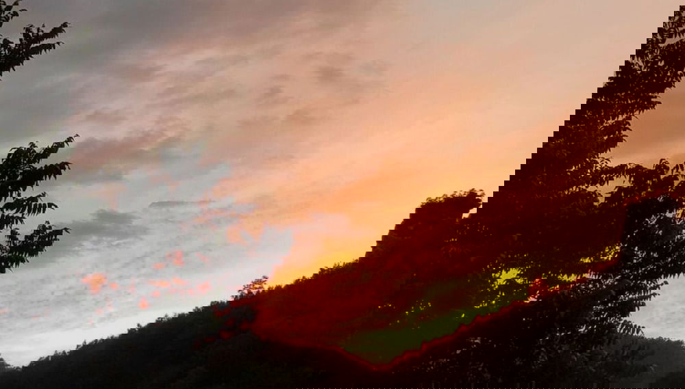 Haus Edith Modern Retreat - Foto 1, Habitación