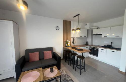 Wczasy Chmielno Apartament PUDROWY - Foto 8