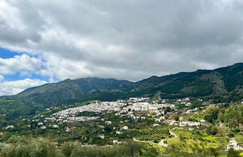 Casa titamari - Foto 42