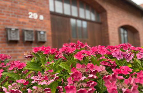 Hof Horsten - Wohnidyll in ehemaliger Scheune - Foto 1