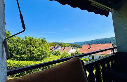 Haus Schanzenblick Fewo11 im Herzen des Schwarzwaldes - Foto 9