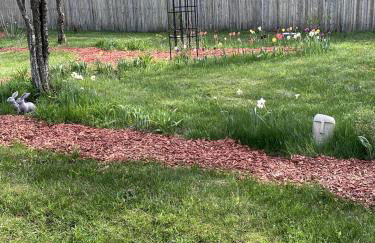 Secluded Upstate New York Glamping Cabin for the Ultimate Outdoor Adventure - Foto 14