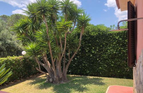 Villa con Giardino di 2000mq al Plemmirio - 400m dal Mare - Foto 15