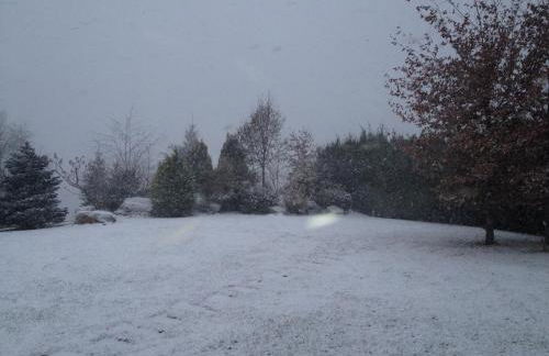 Casa Rural Mollo, Vall de Camprodon - Foto 16