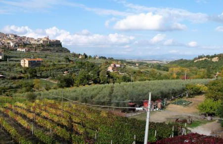 Agriturismo La Pietriccia - Foto 148