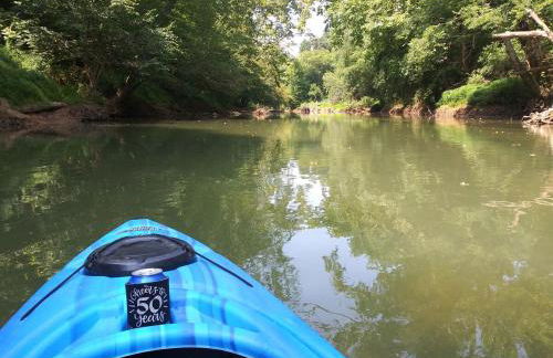 Peaceful Cabin on Rough River - Foto 24