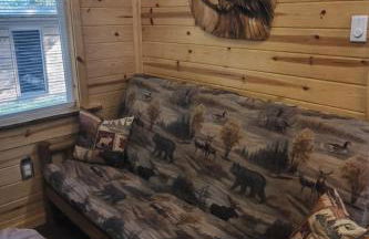Knotty Shack- Unique Tiny Log Cabin with Hot Tub - Foto 17