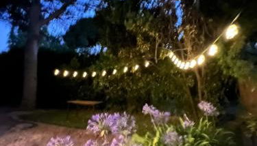 Le repaire magique - Foto 5