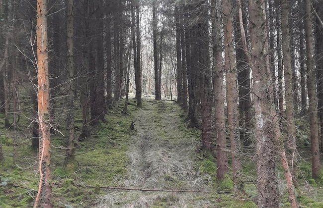 Beautiful 50 Riverun - Foto 18