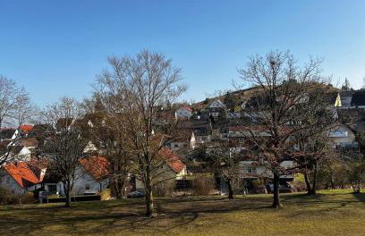Heimglück mit Ipf & Ruine - Foto 14