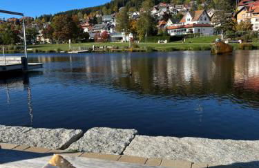 Apartment Schwarzwald-Anni Pool Tennis Sauna - Foto 23