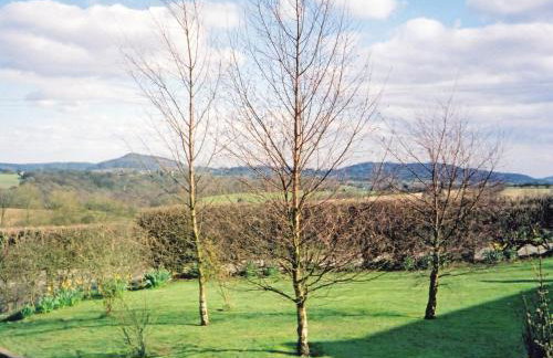 Stildon Manor Cottage - Photo 7