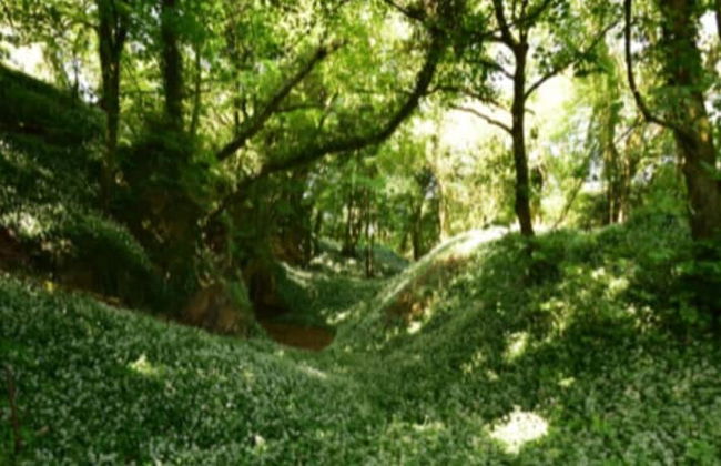 Guyscliffe Farm Holiday Lets - Foto 35