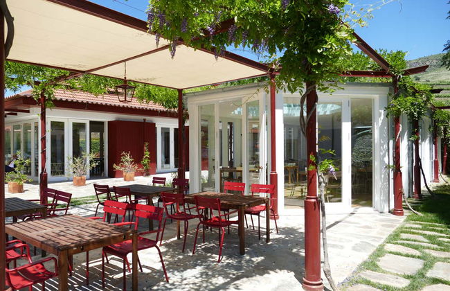 Quinta do Bomfim Winery Tour - Photo 8