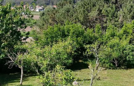 Luz da Lúa - Casa del campo - Foto 32