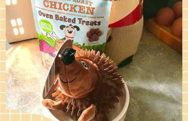 Gingerbread Lodge - Foto 16