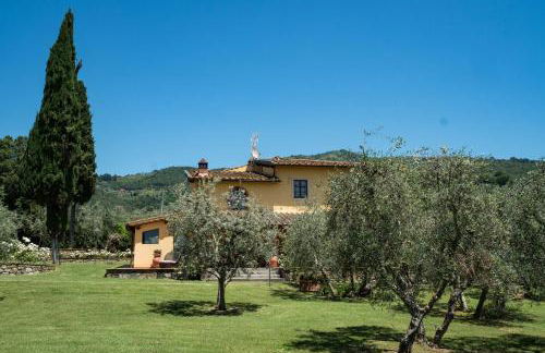 La Casa delle Rose - Photo 50