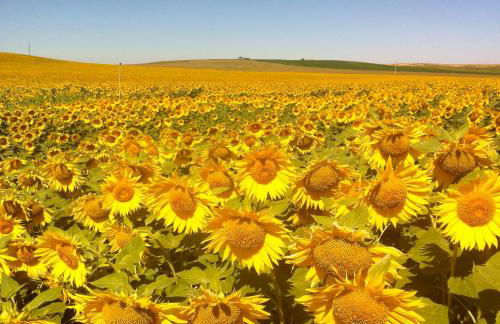 Los Chicos de Lastanosa Hotel y Restaurante - Foto 30