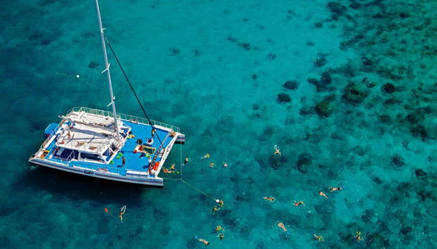 Snorkeling a Key West - Foto 5