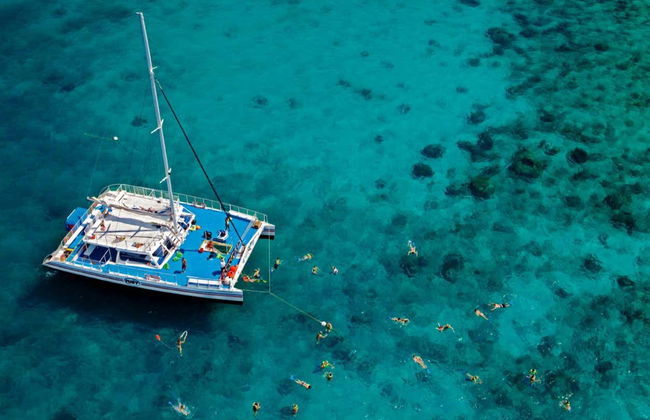 Snorkel en Cayo Hueso - Foto 5