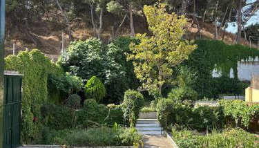 Family home with pool and garden in Tudela center - Photo 4, Garden
