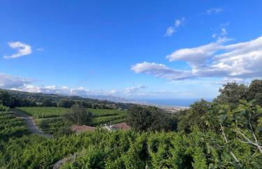 Le Case Del Merlo Turismo Rurale - Foto 121