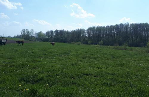 Apartamenty Sawino 4 - Foto 30