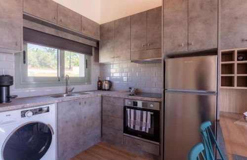 Apolithon Premium Houses - Photo 30