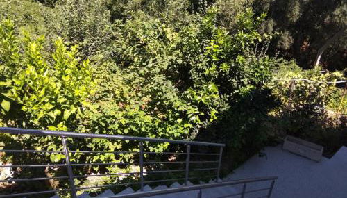 Casas do Caminho Velho - Foto 5