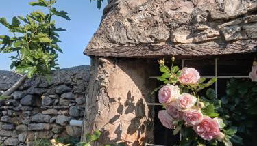 Les Gites du Mont Ventoux - Photo 3, Garden, Garden view