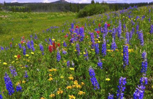 Mountainside Cozy Walk to Gondola Hot Tub Condo - Foto 18