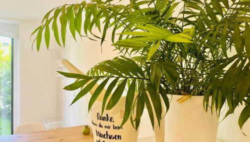 Bamberger Auszeit - Foto 5