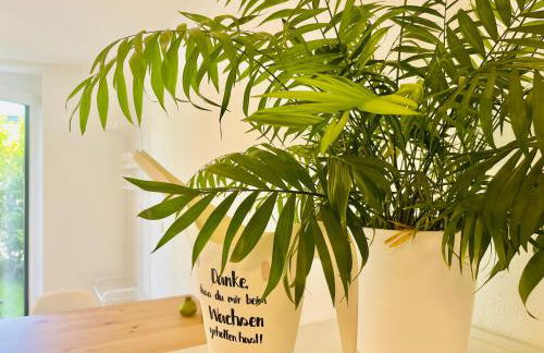 Bamberger Auszeit - Foto 5