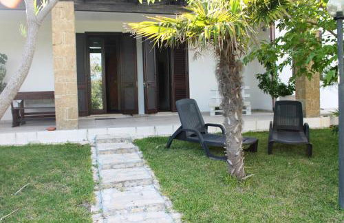 Vecchio Ulivo - Foto 12