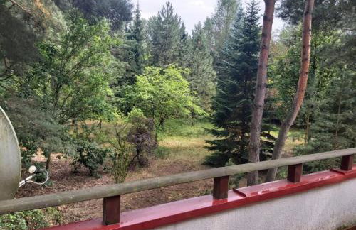 Tuczno Dom w lesie - Foto 43