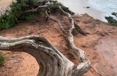 Casa Bellarosa - Foto 46