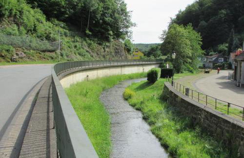 FeWo Harz Haennig 2 - Foto 39