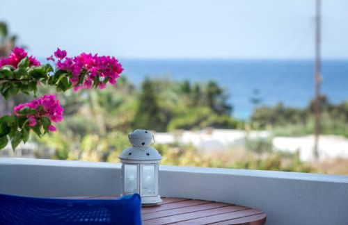 Firoa Studios - Photo 50