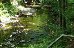 Dolcevita - Photo 16