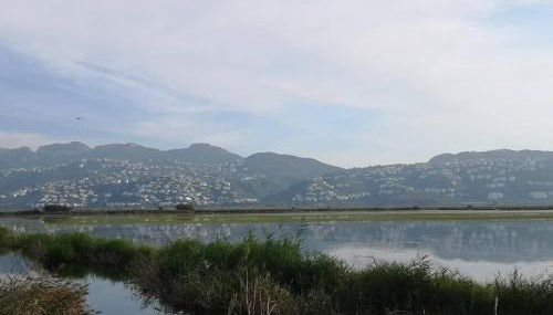 Casa Lina Belavista - Foto 4