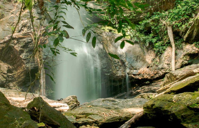 Excursión a las cascadas Avocat y la playa Maracas - Foto 1