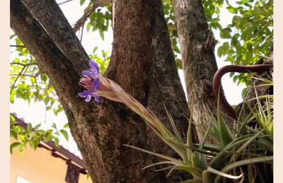 Agriturismo Monte Cologna - Photo 73