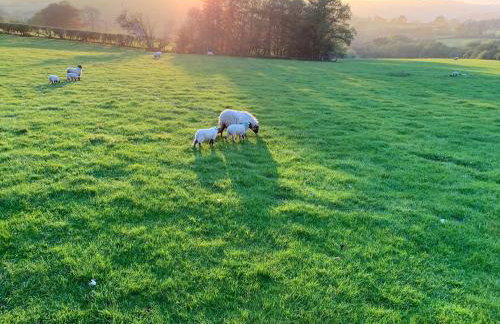 Eversfield - Foto 49