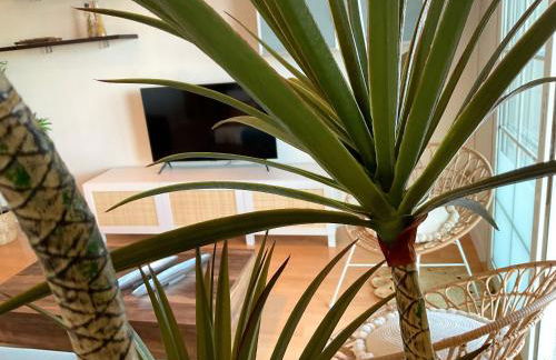 KS Golf Playa - Kaleria Suites - Foto 37