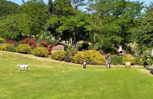 Agriturismo Montelovesco - Foto 86