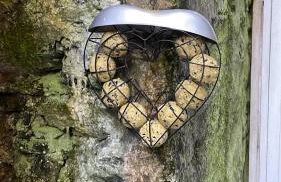 Dunoon River Clyde Flat - Foto 27