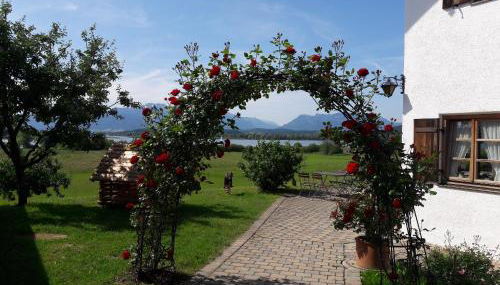 See Cafe Toni - Foto 4