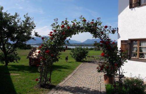 See Cafe Toni - Foto 4